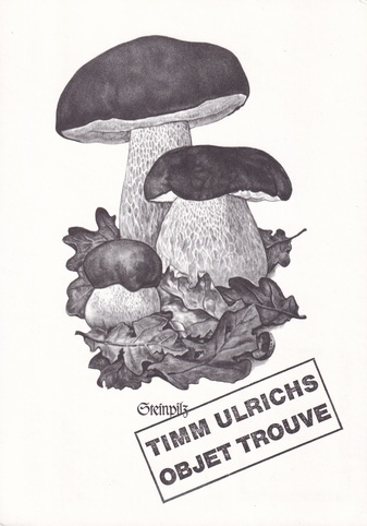 TIMM ULRICHS. OBJET TROUVE - Steinpilz/ pilze als objets trouve (such-aktion). [Einladungskarte/ invitation card]