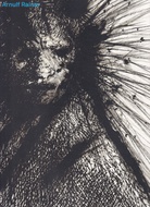 Antonius Höckelmann/ Arnulf Rainer. [Galerie Michael Werner 2020]