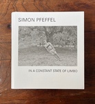 SIMON PFEFFEL. IN A CONSTANT STATE OF LIMBO