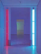 Dan Flavin. Installationen in fluoreszierendem Licht 1989 - 1993