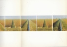 Ger Dekkers. [Plantation near Biddinghuizen] Landscape perception. Stedelijk Museum Amsterdam, 15.2. - 10.3.1974. katalogus 558