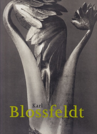 Hans Christian Adam: Karl Blossfeldt 1865 - 1932