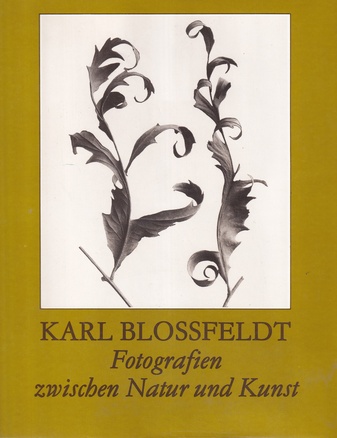 Karl Blossfeldt. Fotografien zwischen Natur und Kunst