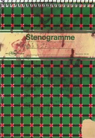 Sigmar Polke. Stenogramme 