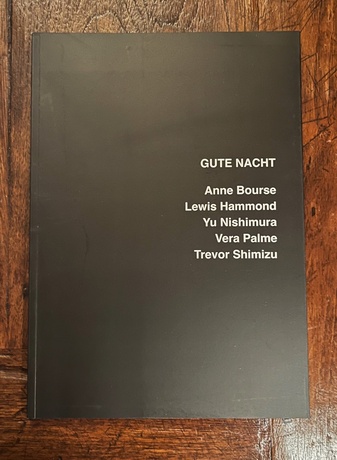 Anne Bourse/ Lewis Hammond/ Yu Nishimura/ Vera Palme/ Trevor Shimizu: GUTE NACHT